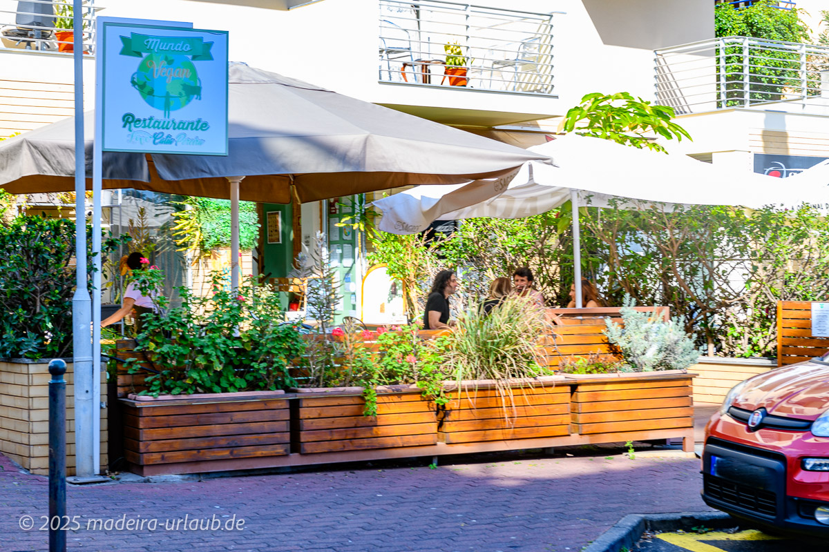 Süd-Terrasse